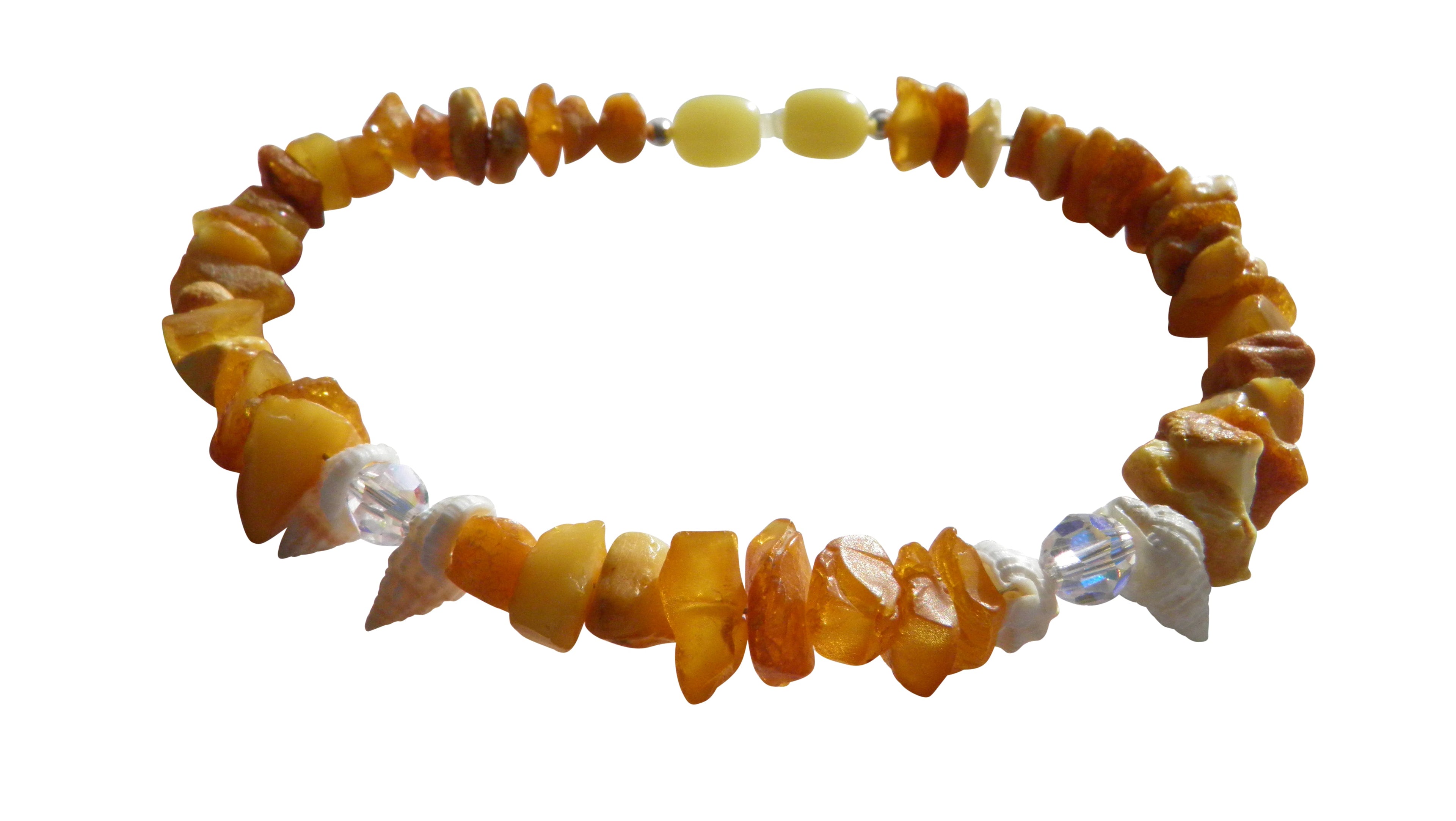 Bernsteinkette für den Hund mit Swari und Muscheln Länge 23 cm - TierVita