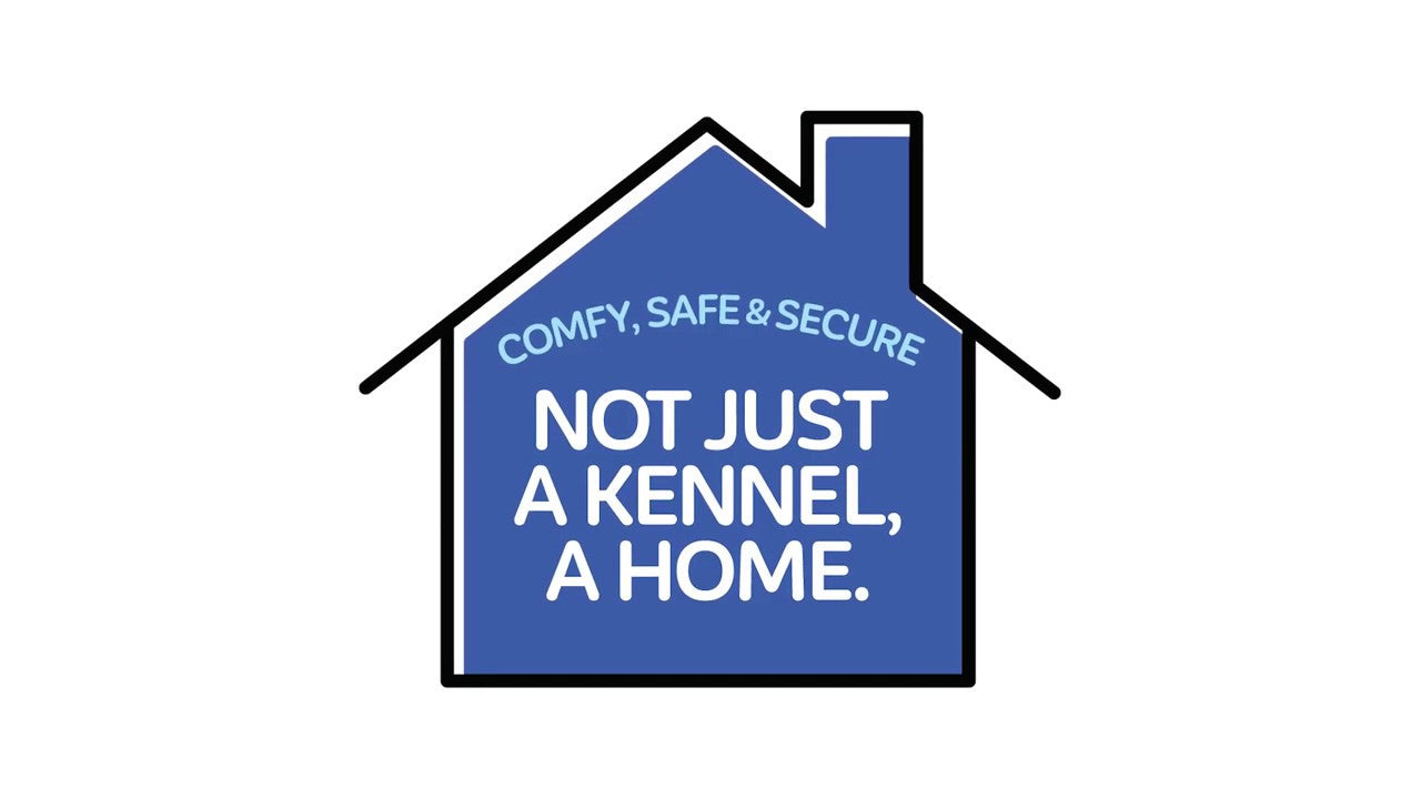 Petmate 2 Door Kennel Blau S