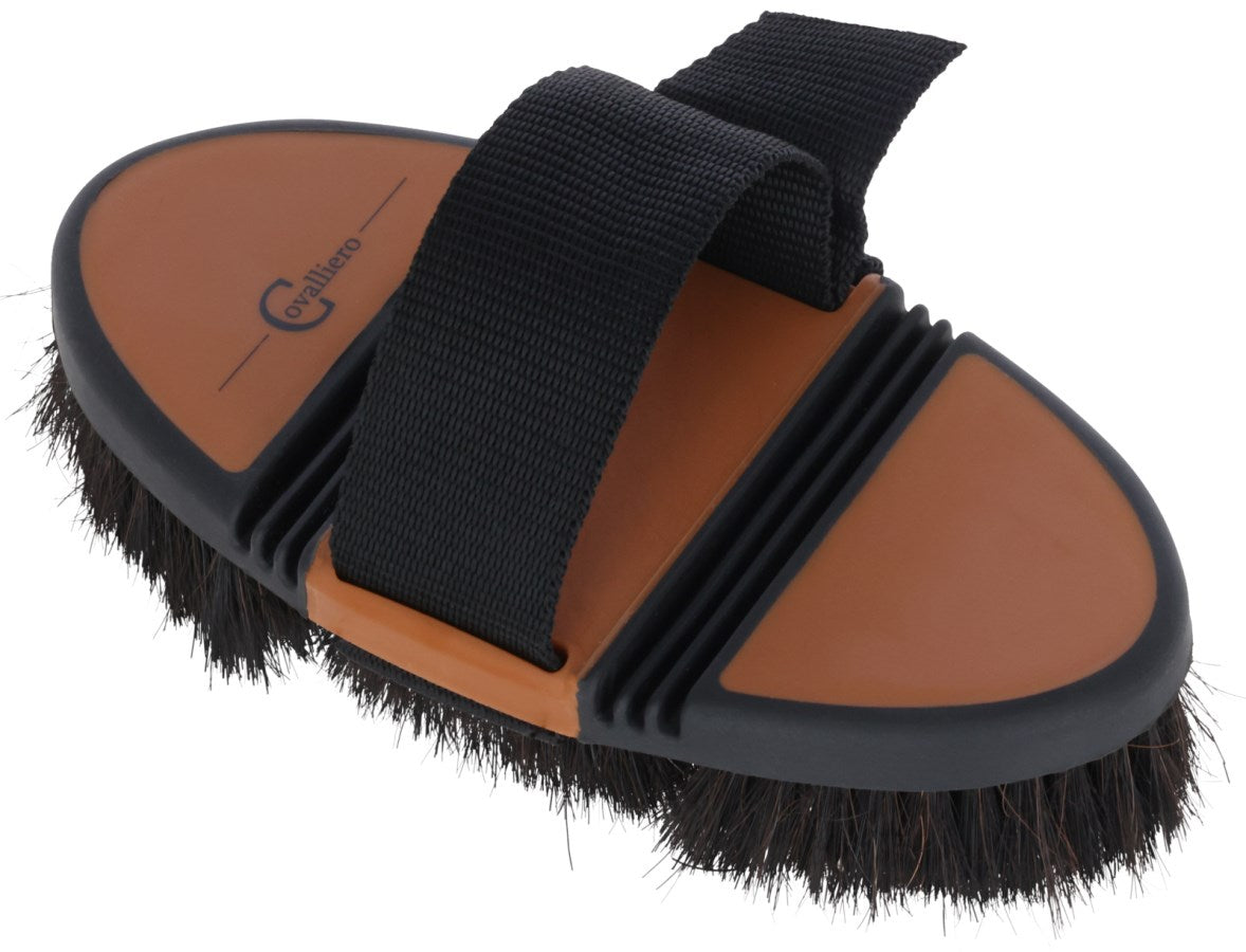 Flex Kardätsche Pferdehaar