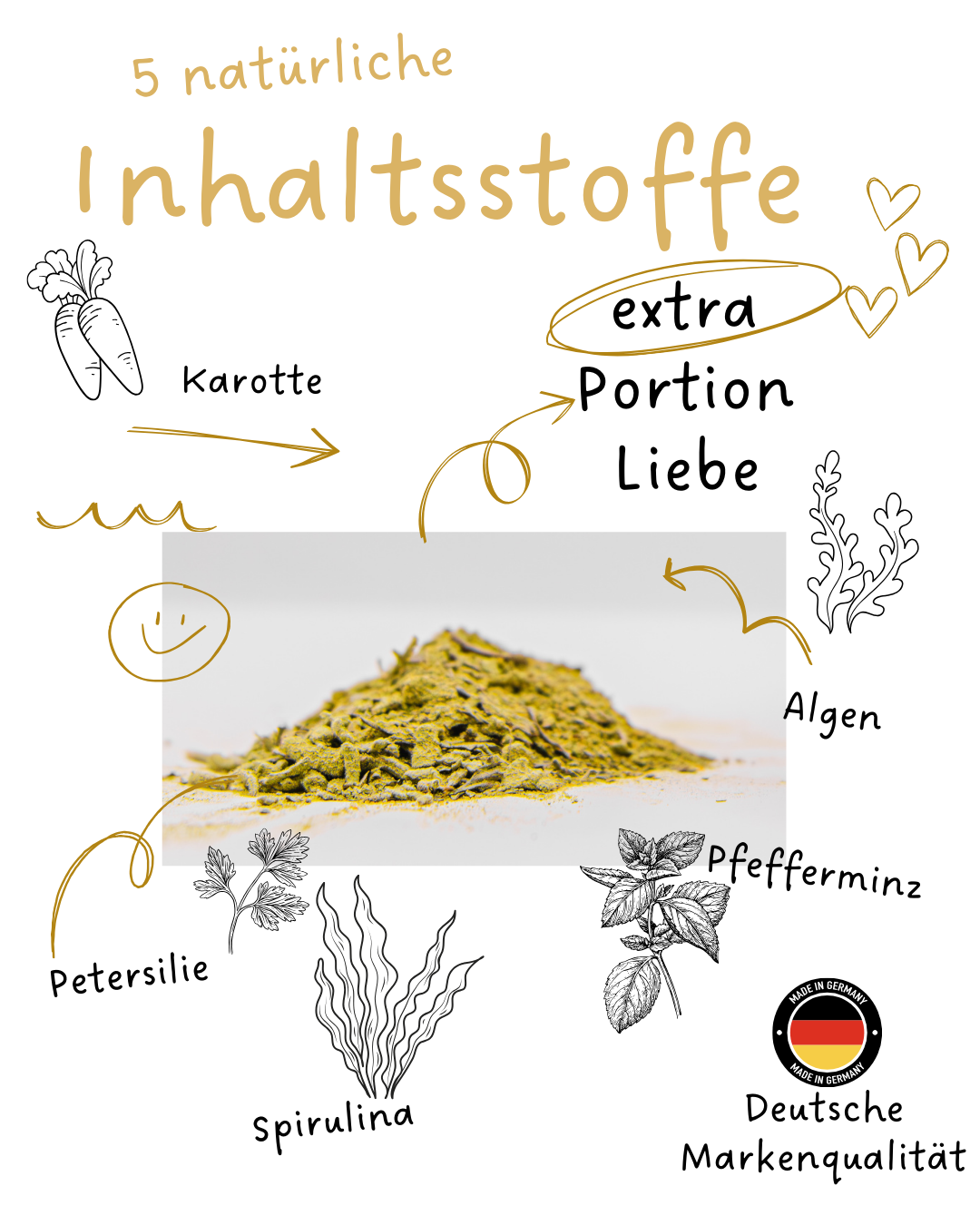 Riolino FreshBite – Natürliche Zahnpflege für Hunde - TierVita