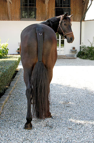Schweifschoner,