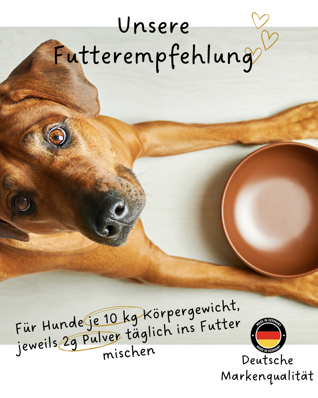 Riolino FreshBite – Natürliche Zahnpflege für Hunde - TierVita