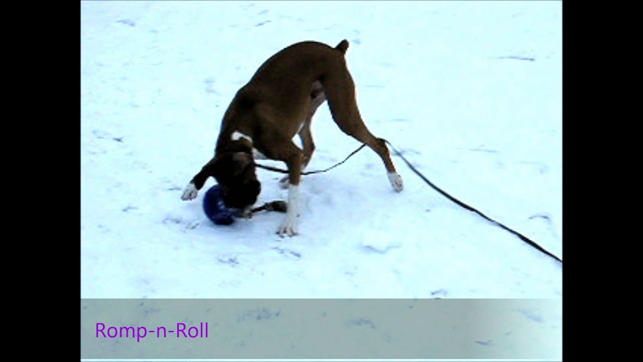 Jolly Romp-n-Roll Rot S (10 cm)