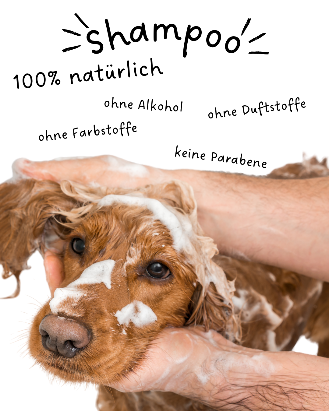 Riolino Shiny Fur Shampoo – Sanfte Pflege für glänzendes Fell - TierVita