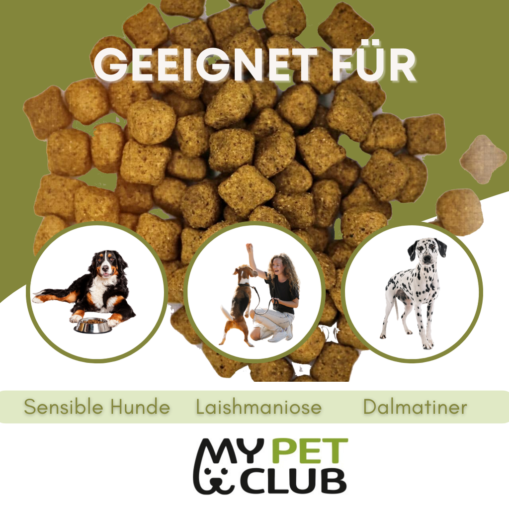 MyPetClub Insekten Purinarm - TierVita