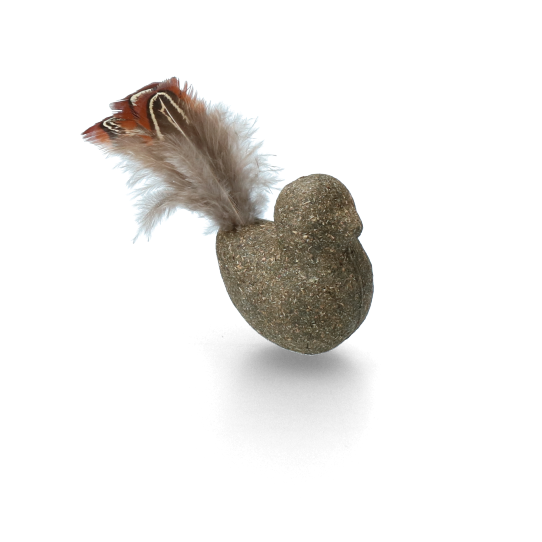 Addicted! Bird with Feathers