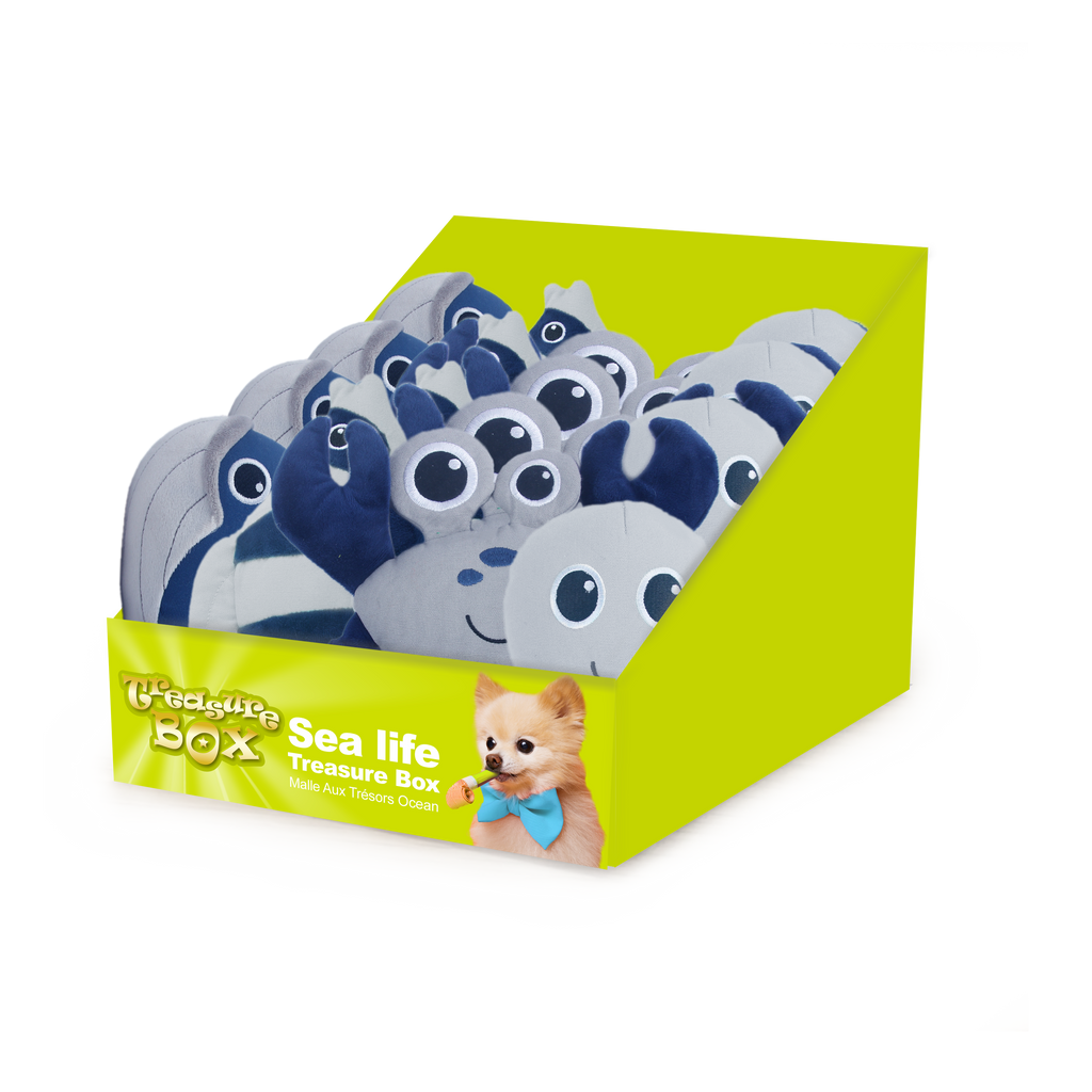 AFP Treasure Box Sea Life