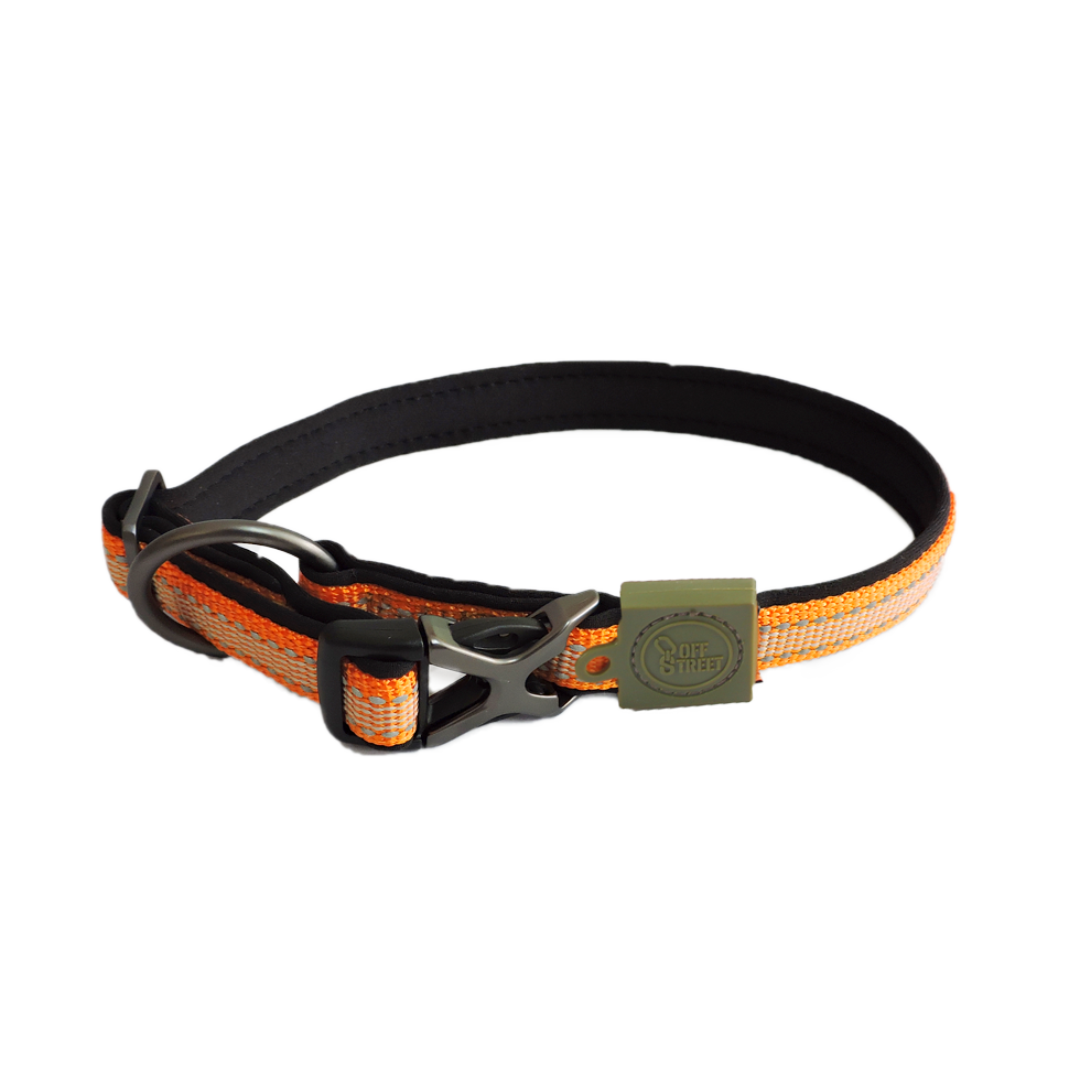 AFP Off Street - Dog Collar Mandarine L