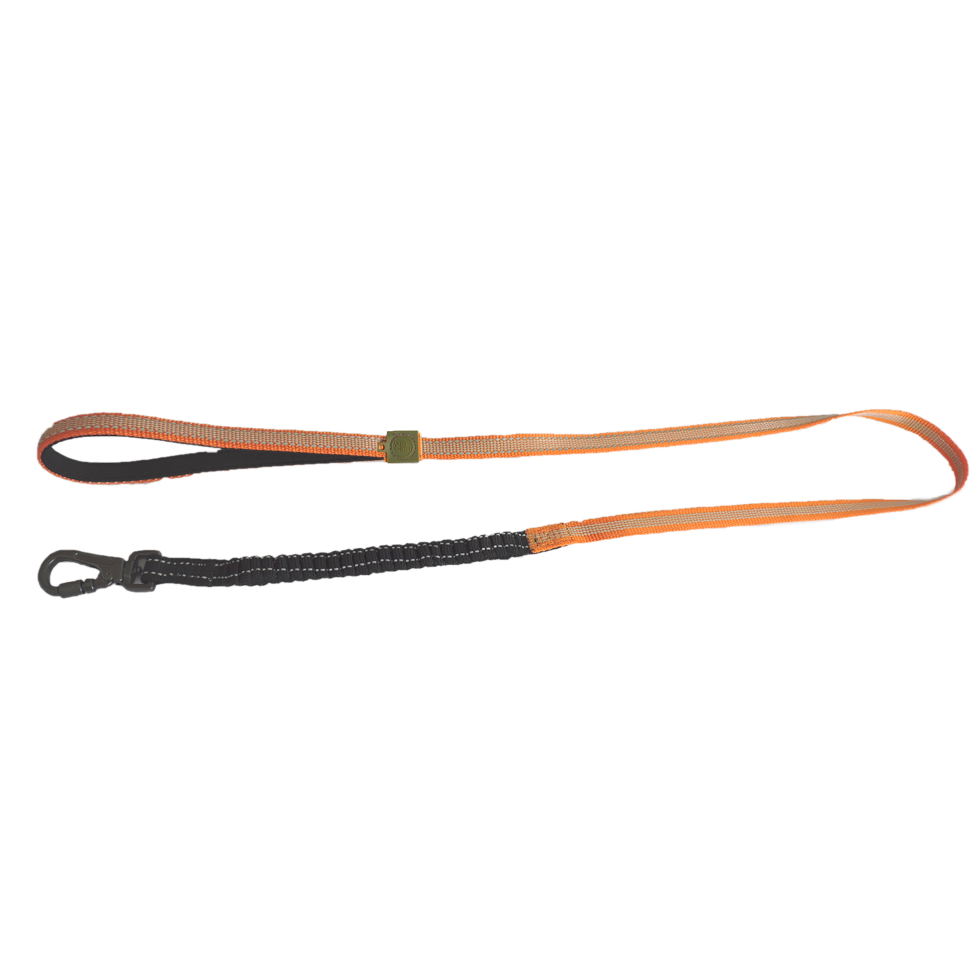 AFP Off Street - Dog Leash Mandarine M