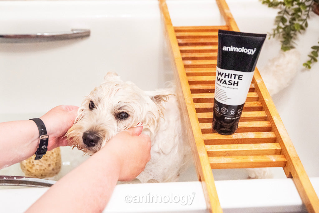 Animology White Wash Dog Shampoo 250 ml