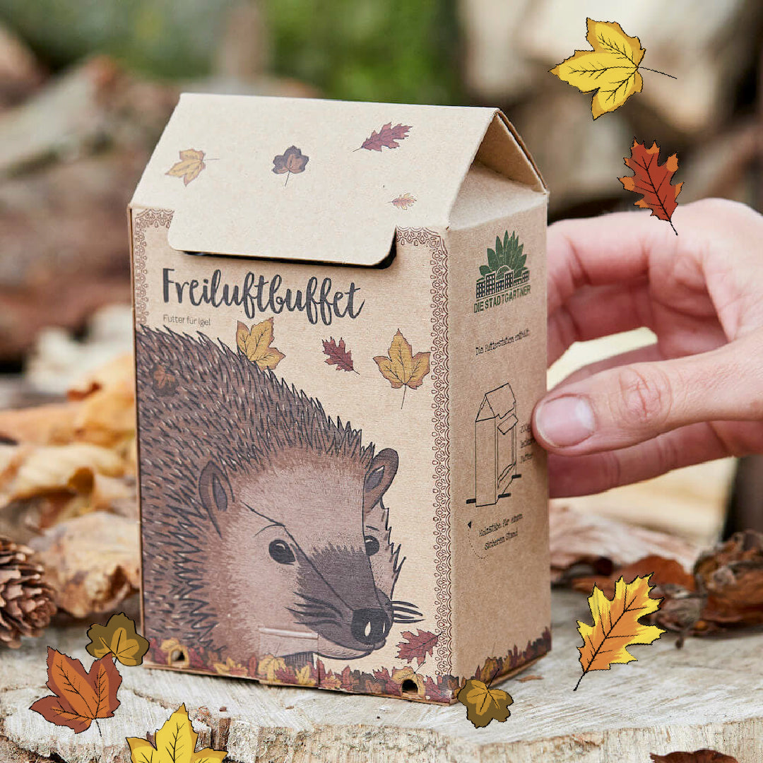 Freiluftbuffet für Igel - TierVita