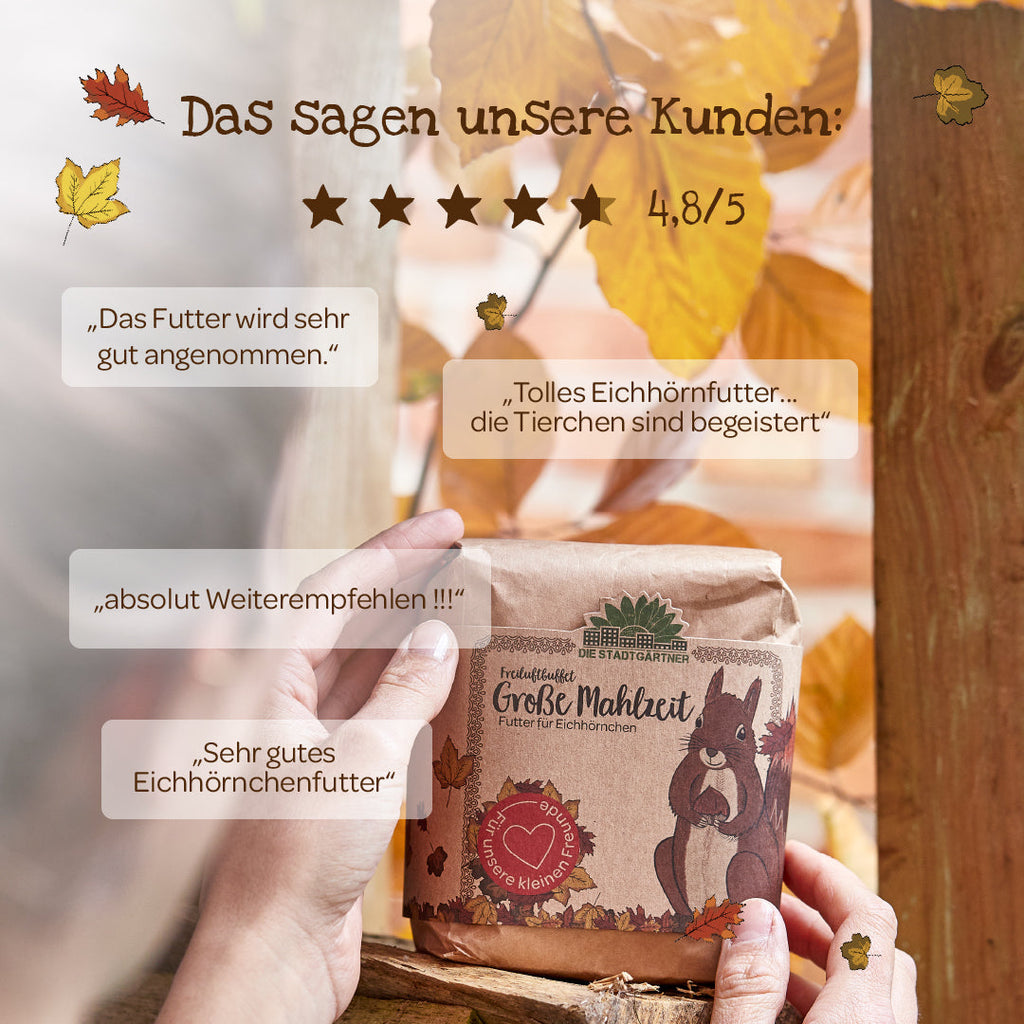 Große Mahlzeit – 1 L Eichhörnchenfutter - TierVita