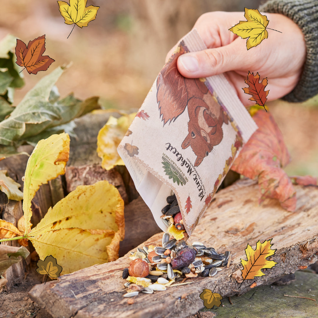 Kleine Mahlzeit – Eichhörnchenfutter - TierVita