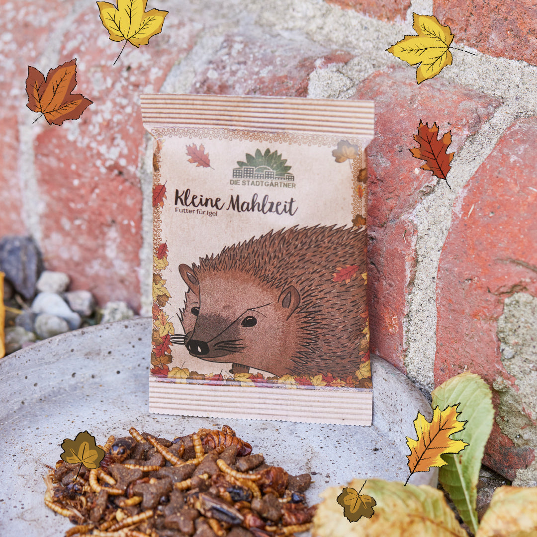 Kleine Mahlzeit – Igelfutter - TierVita