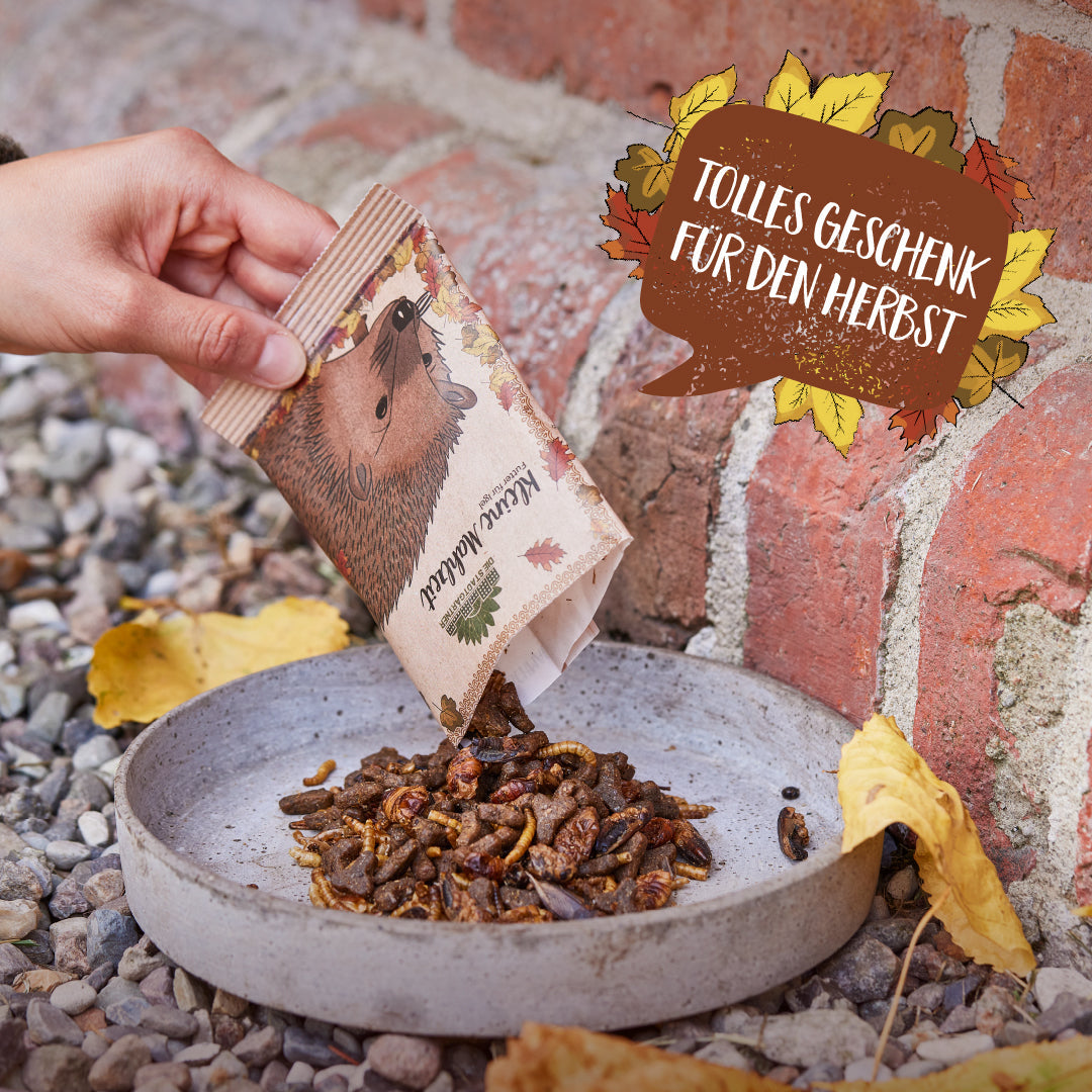 Kleine Mahlzeit – Igelfutter - TierVita