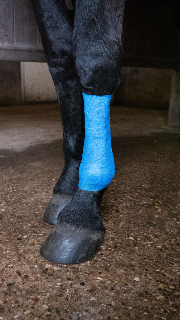 Excellent Animal Glitter Bandage Pro 10 cm - Blue