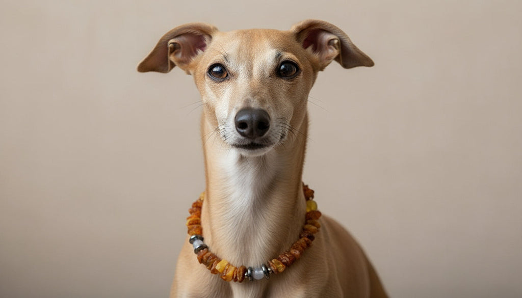 Hunde Bernsteinkette mit Achat und Hämatit Länge 22cm - TierVita