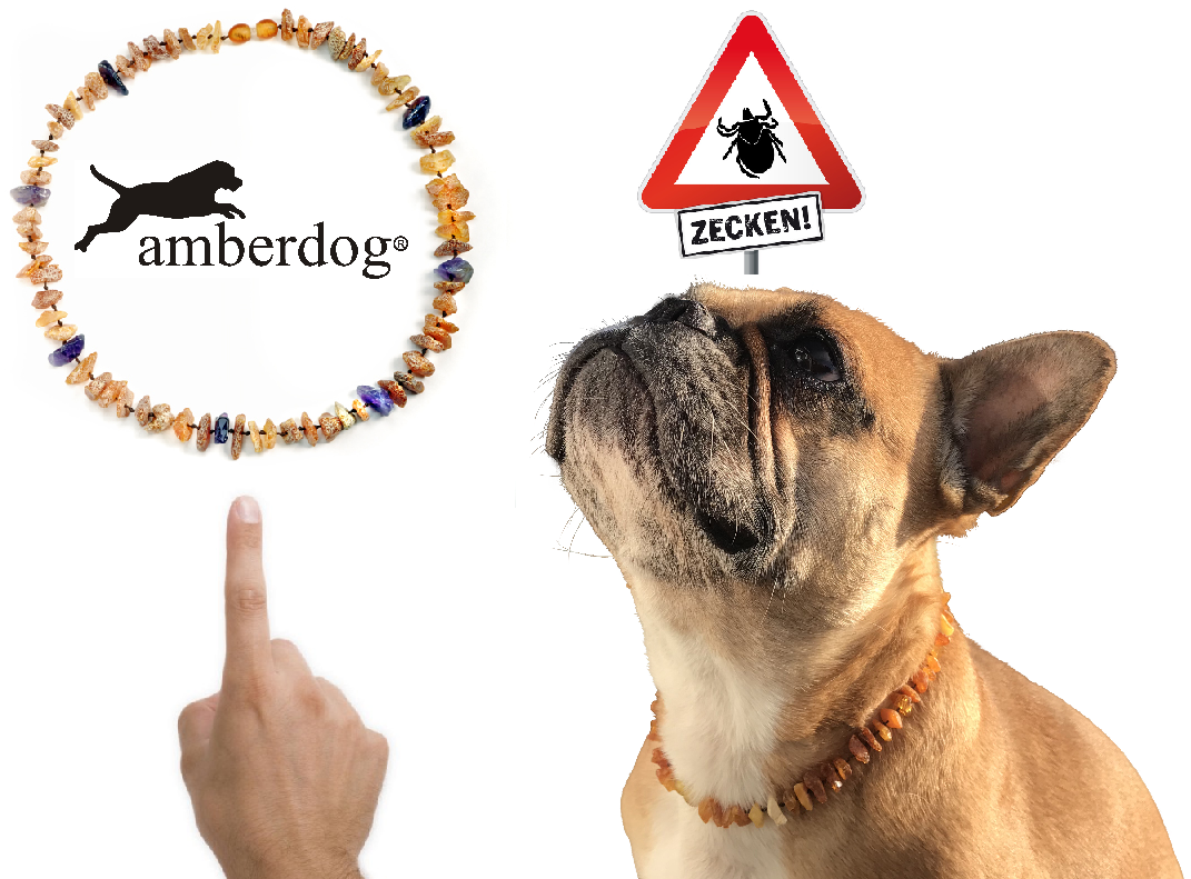 Hunde Bernsteinkette Lapislazuli - TierVita