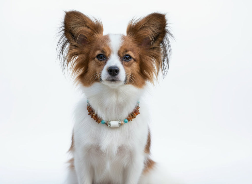 Hunde Bernsteinkette EM-Kera Pipe Howlith mit Landschaftsjaspis Länge 24cm - TierVita