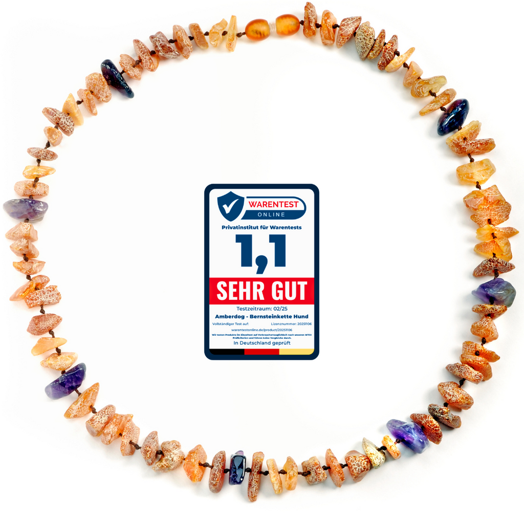 Hunde Bernsteinkette Amethyst - TierVita