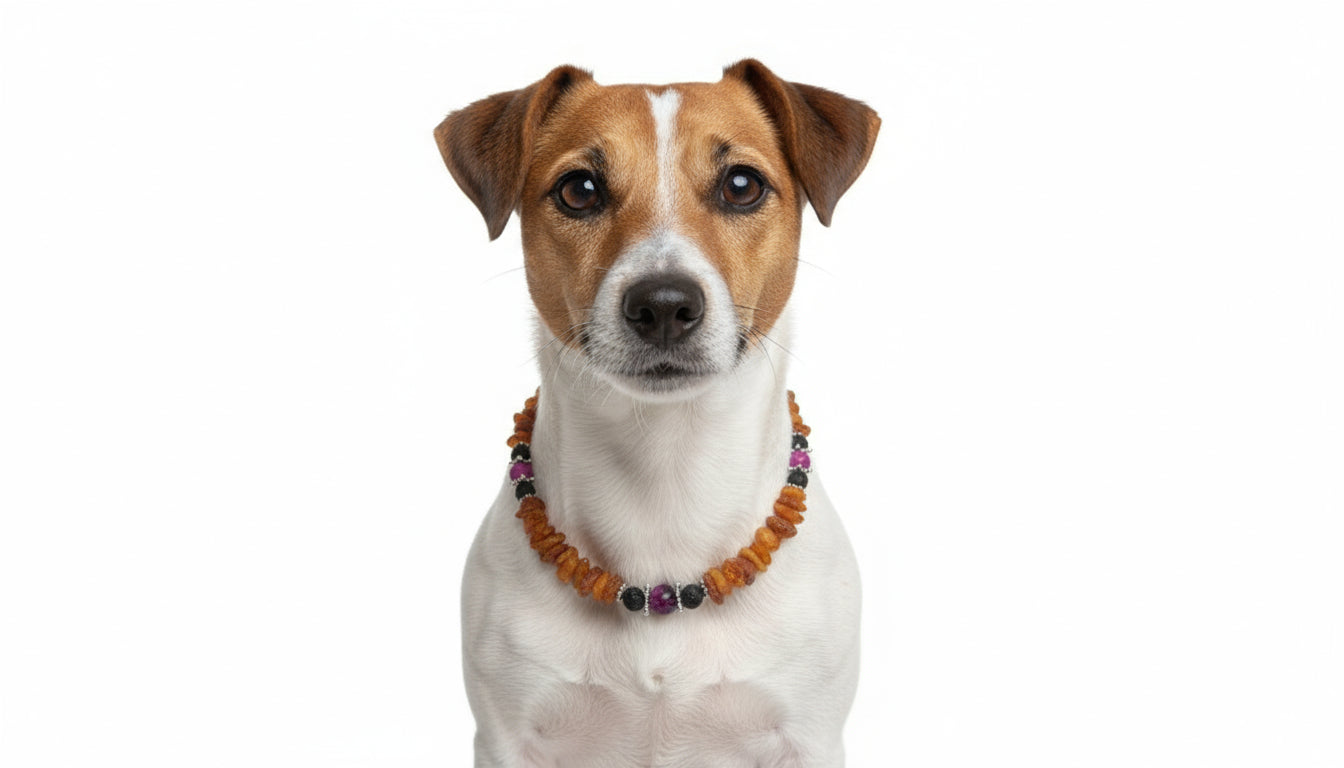 Hunde Bernsteinkette mit Lava und Sugilith Länge 33cm - TierVita