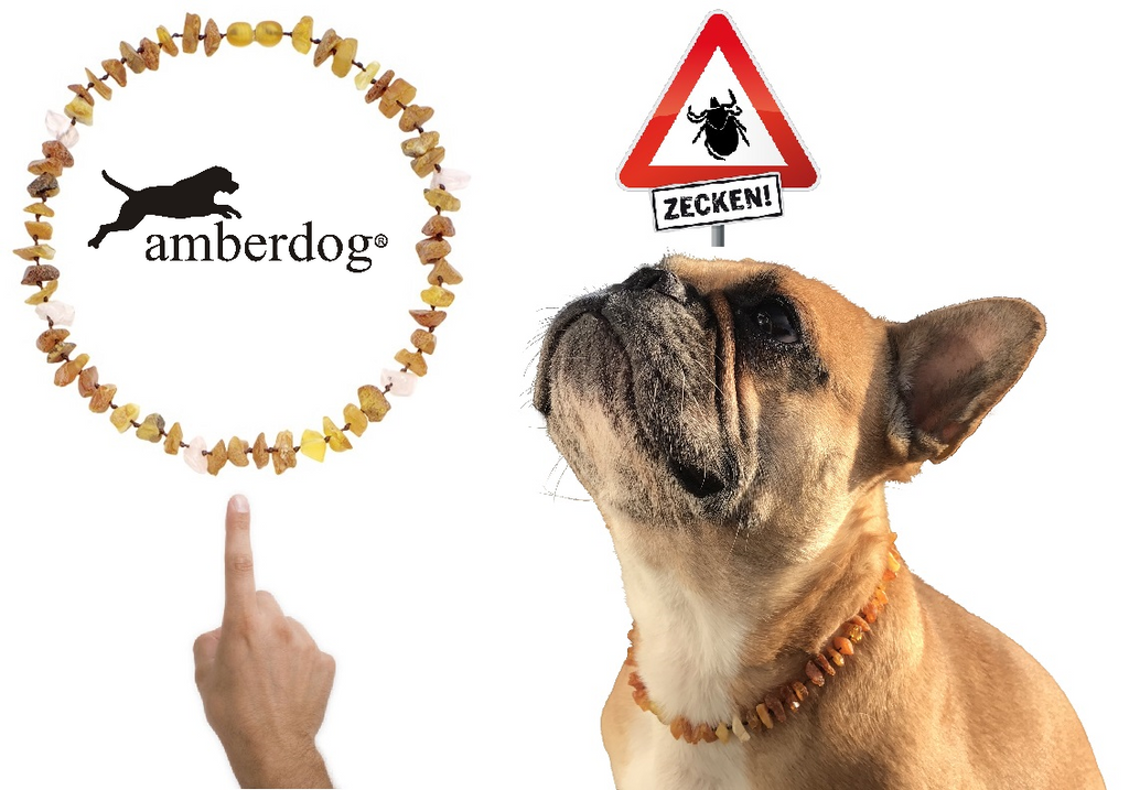 Hunde Bernsteinkette Rosenquarz - TierVita