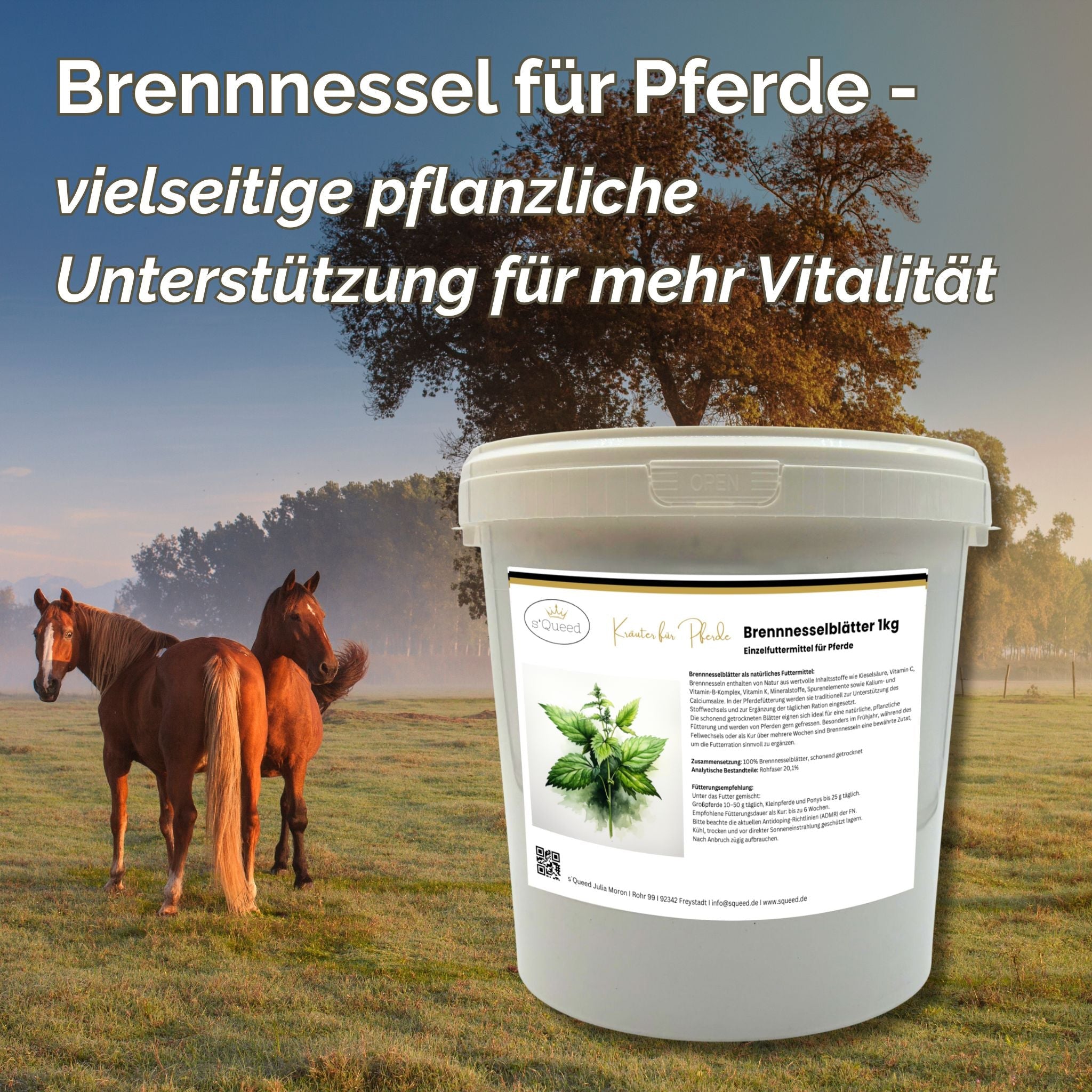 Brennnessel Pferd 1kg - TierVita