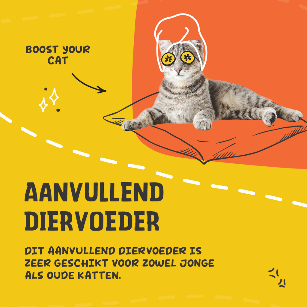 Excellent Pets L-Lysine 50 g