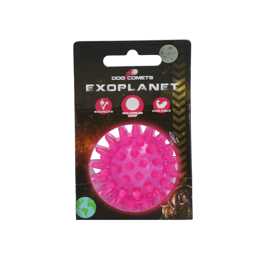 Dog Comets Exoplanet Igelball S Rosa