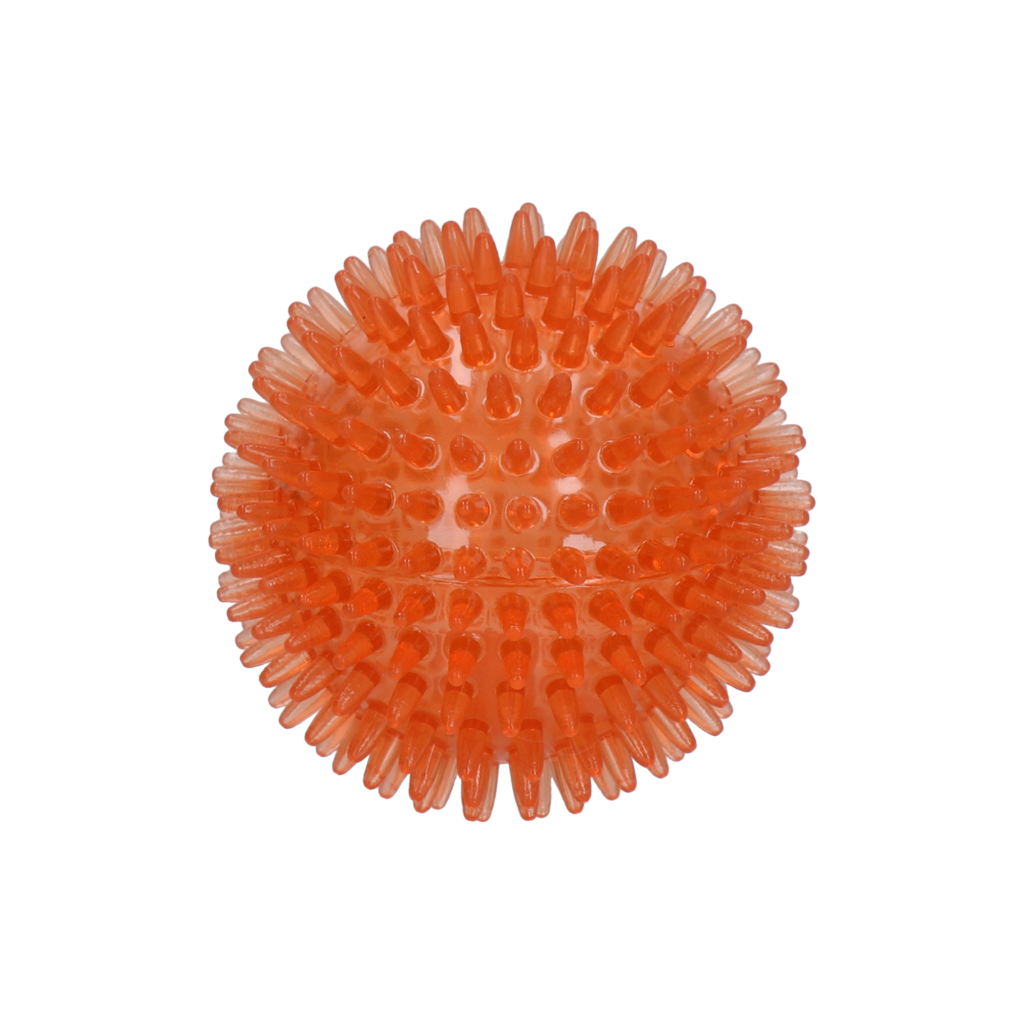 Dog Comets Exoplanet Igelball M Orange