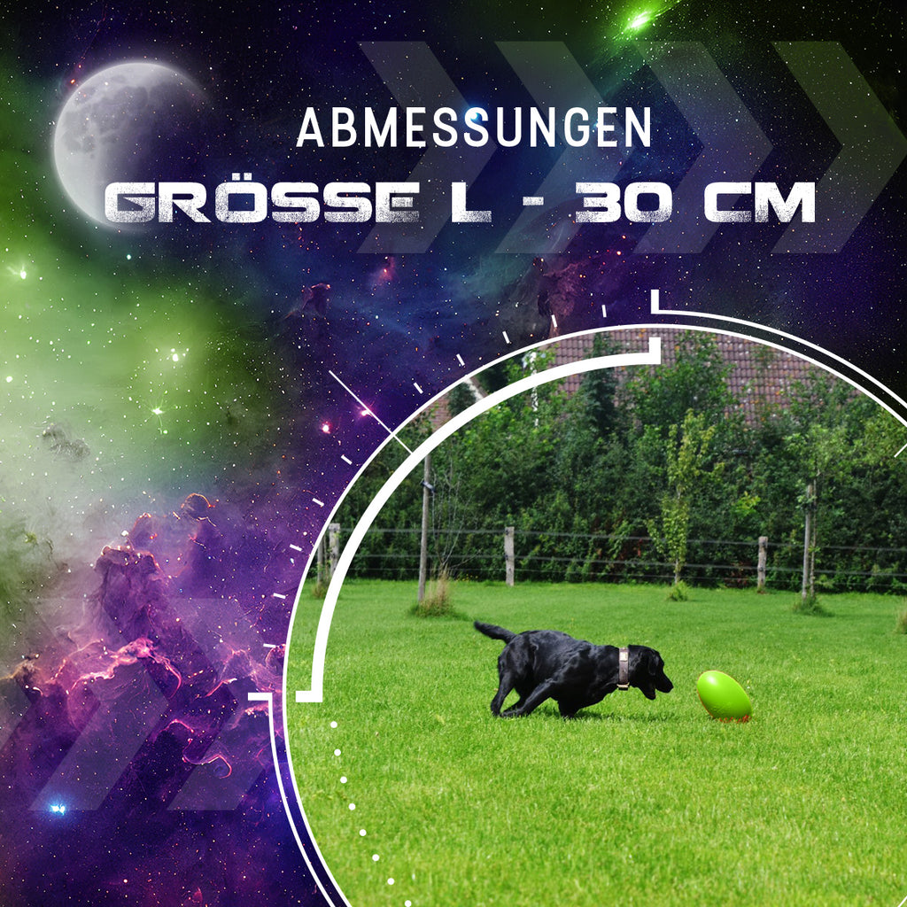 Dog Comets Pan-Stars Grün L
