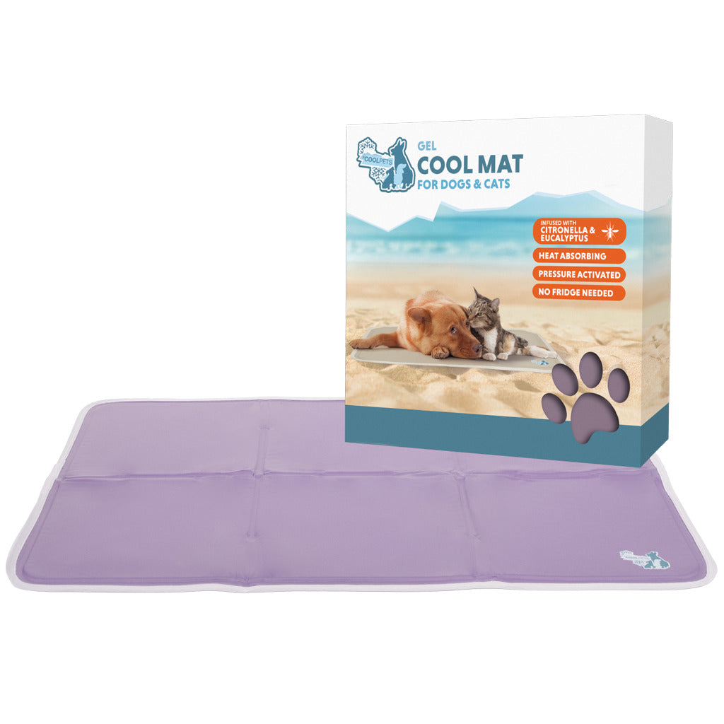 Kühlmatte Hund XL 70×120 cm – CoolPets Premium Gel mit Citronella & Eukalyptus