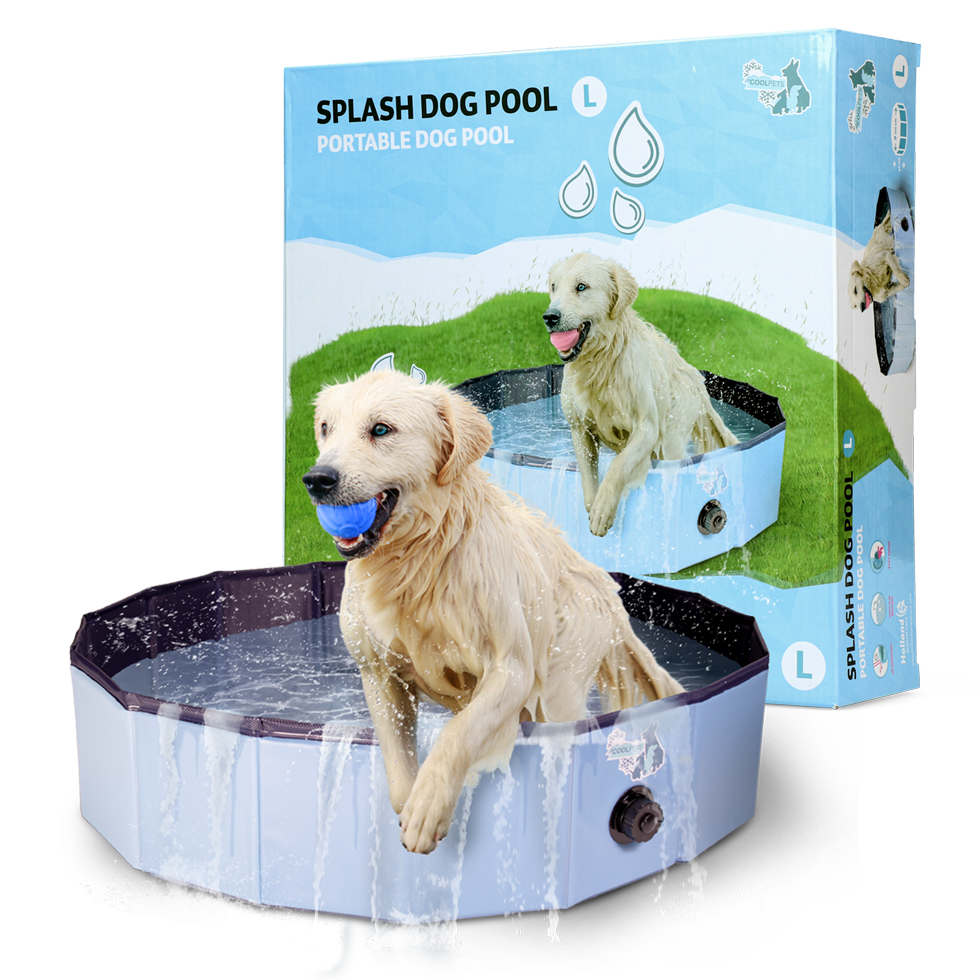 CoolPets Splash Dog Pool für Hunde – Ø 120 x 30 cm | Faltbar & Rutschfest | UV-beständig