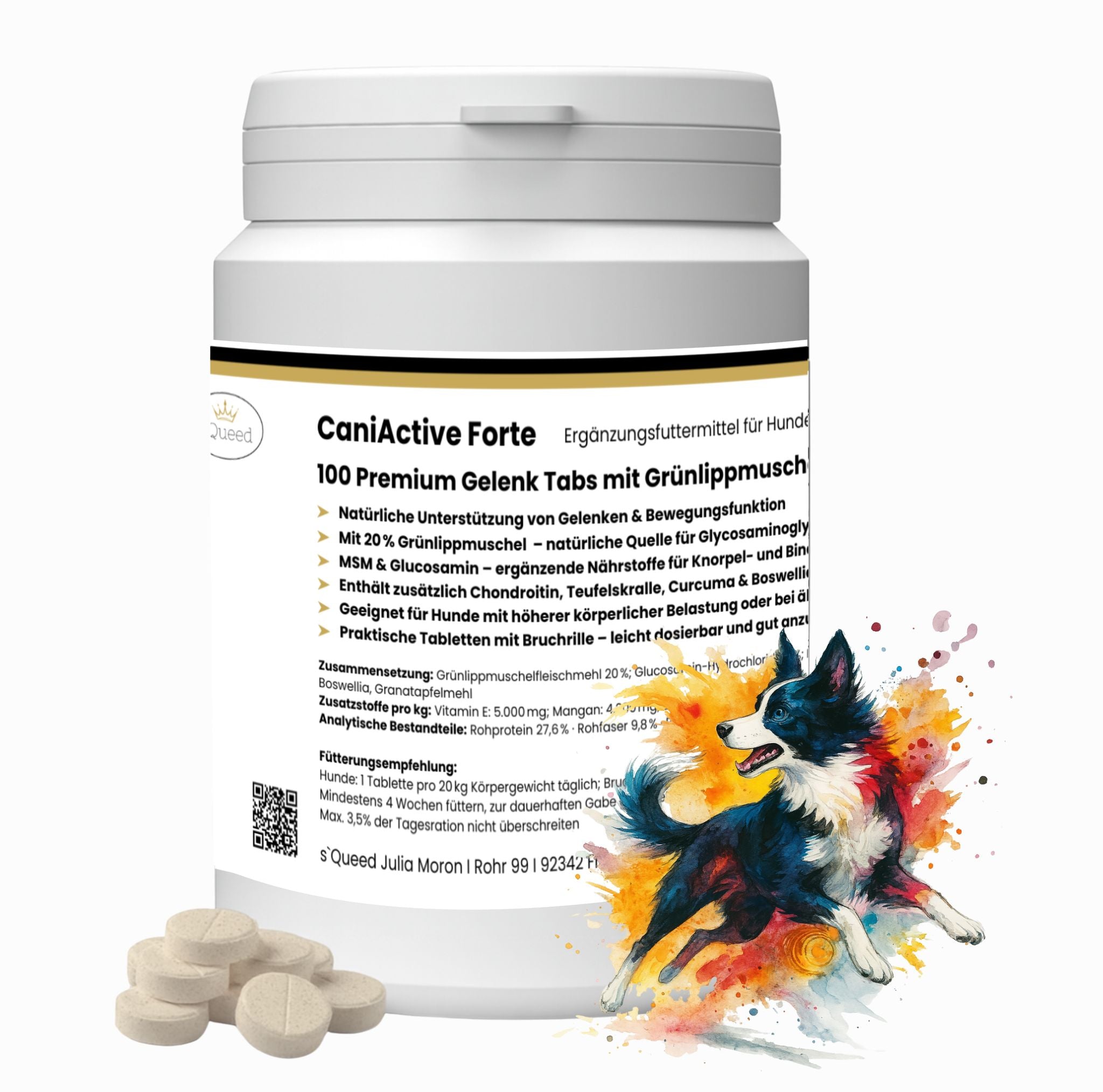 CaniActive Forte 100 Gelenk Tabs für Hunde - mit Grünlippmuschel, MSM & Glucosamin - TierVita