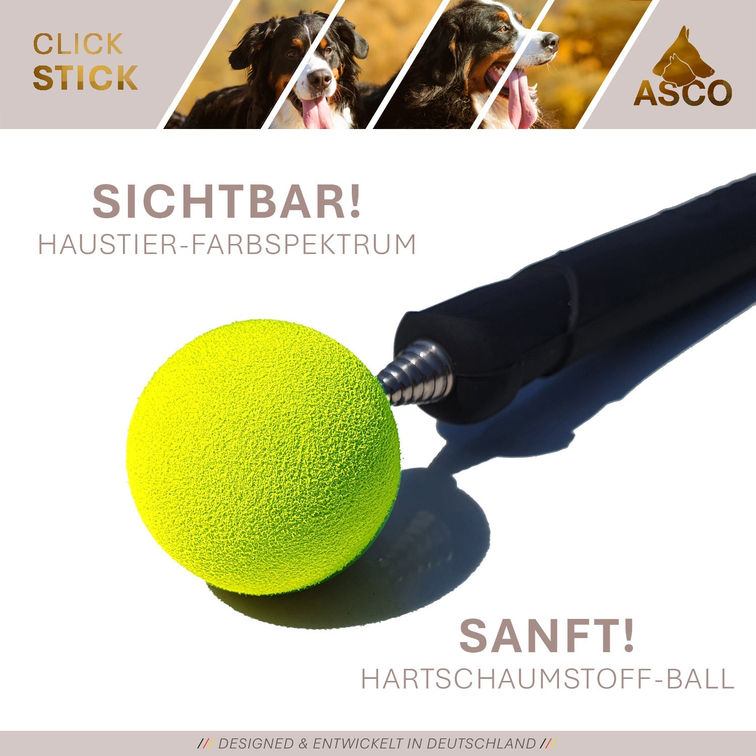 ASCO ClickStick - Target Stick mit abnehmbarem Premium Clicker - Target Stab für Hunde Katzen Clickertraining - Targetstick ausziehbar mit extra Klicker - Targetstab für Target-Training - TierVita