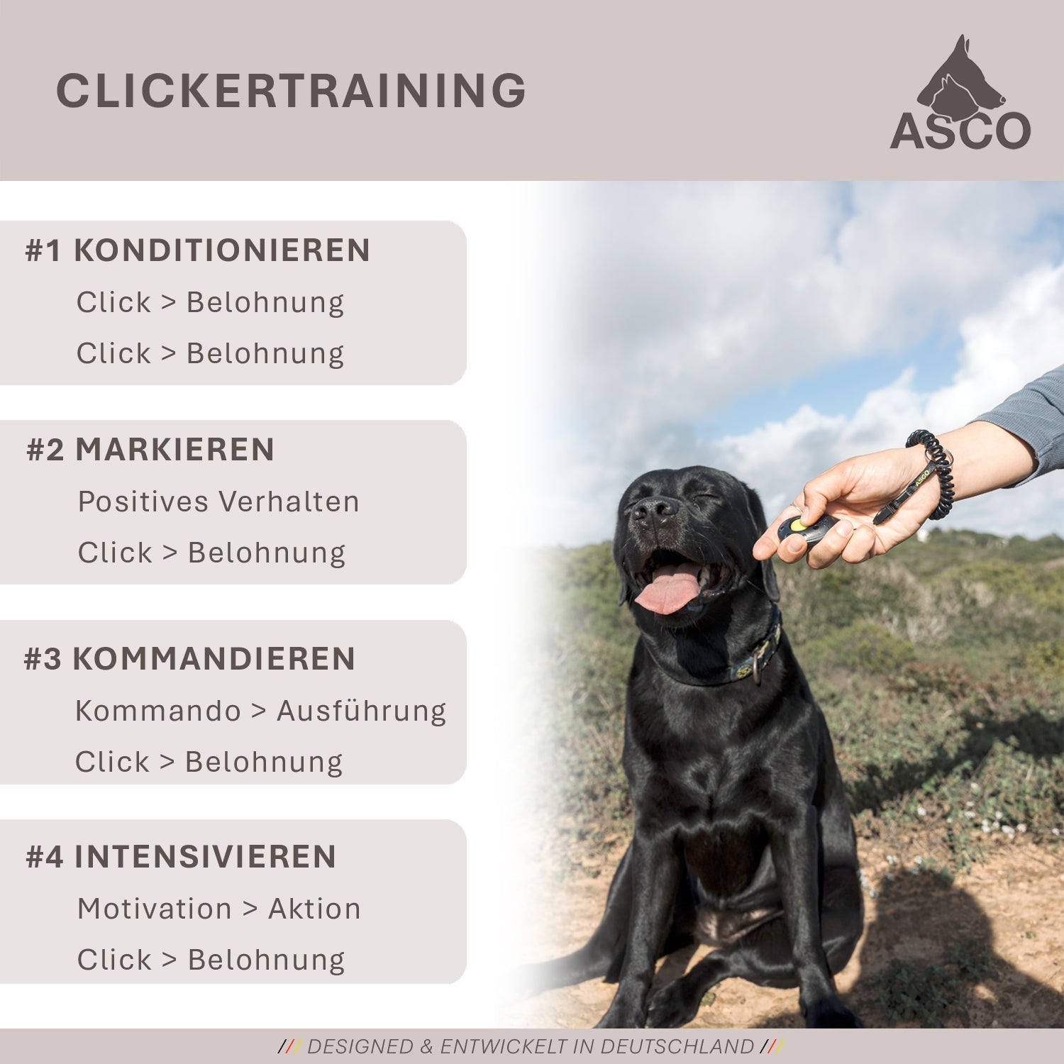 ASCO ClickStick - Target Stick mit abnehmbarem Premium Clicker - Target Stab für Hunde Katzen Clickertraining - Targetstick ausziehbar mit extra Klicker - Targetstab für Target-Training - TierVita