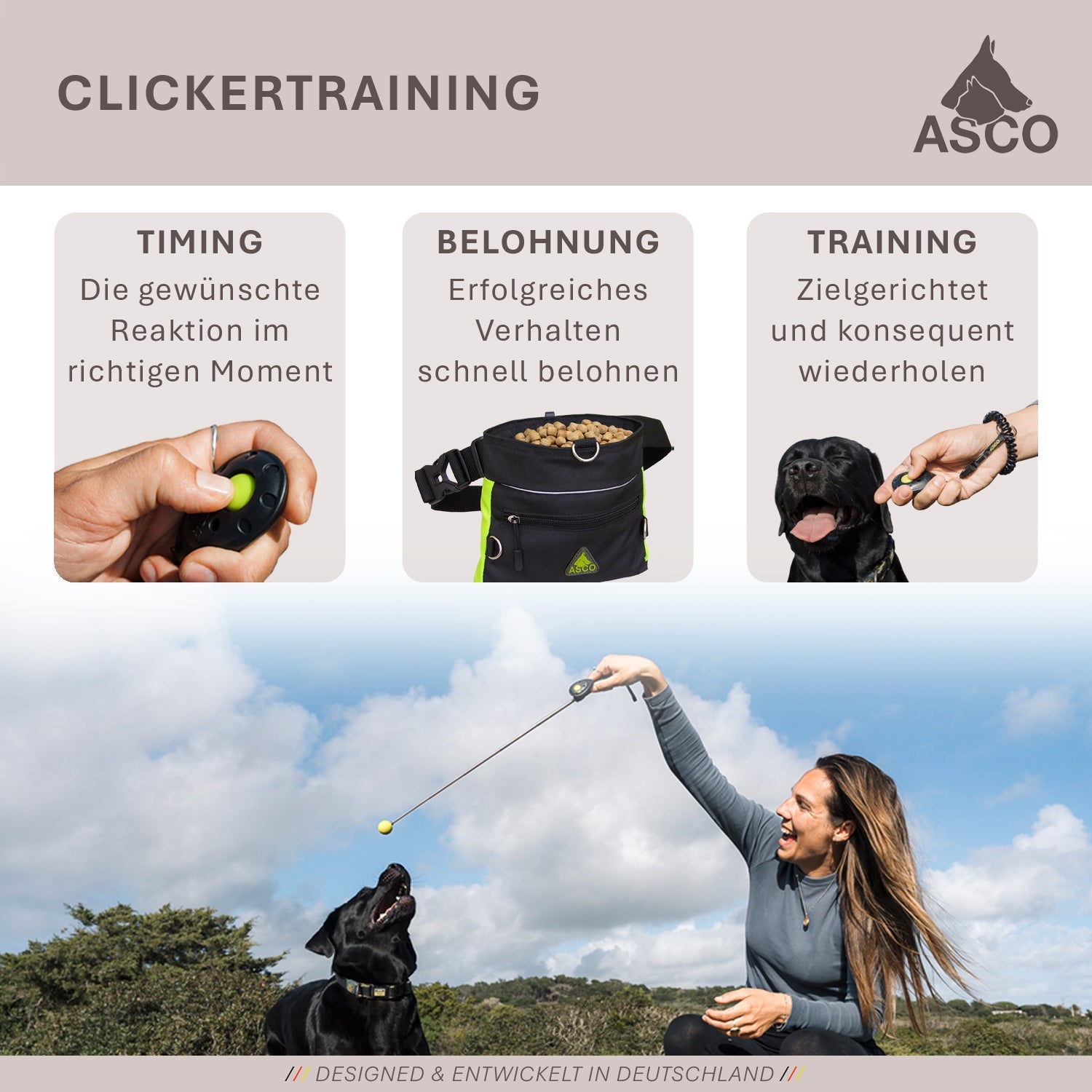 ASCO ClickStick - Target Stick mit abnehmbarem Premium Clicker - Target Stab für Hunde Katzen Clickertraining - Targetstick ausziehbar mit extra Klicker - Targetstab für Target-Training - TierVita