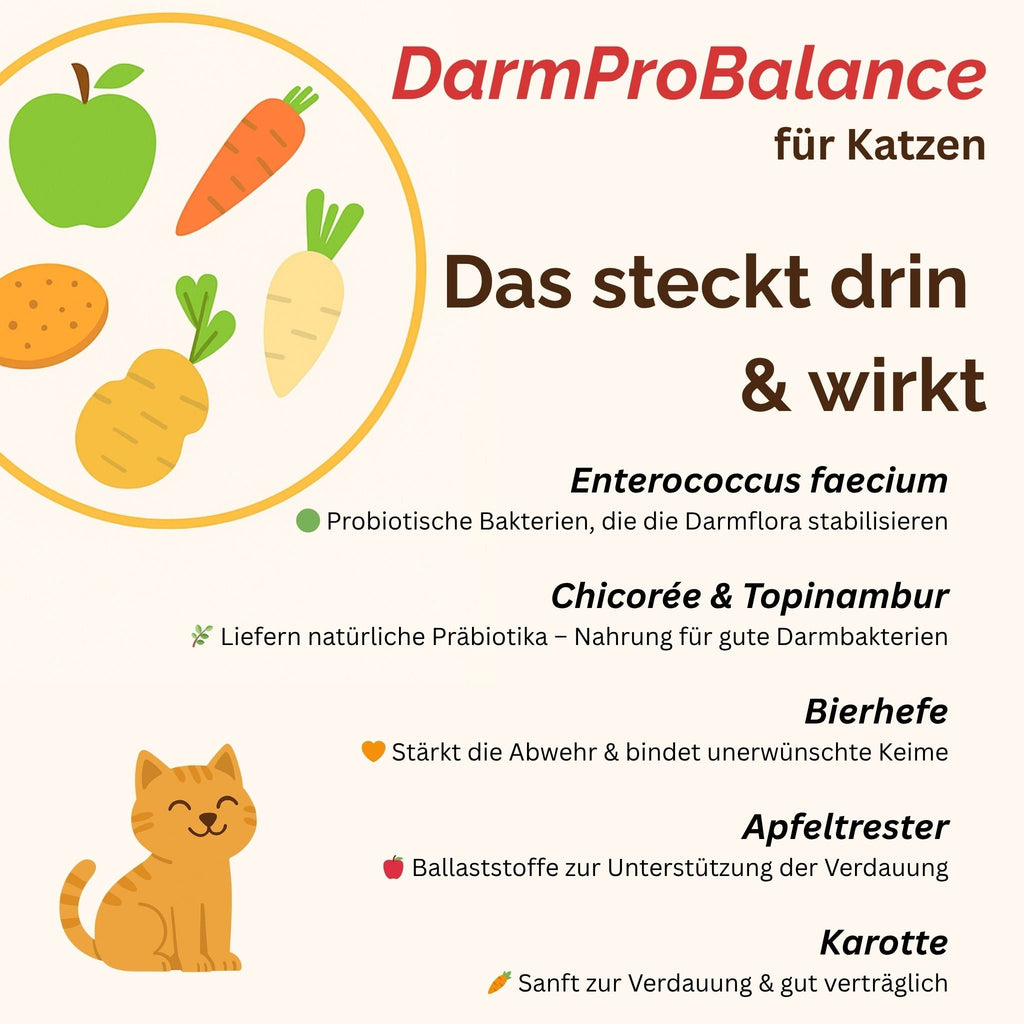Darmpulver Katze - Durchfall und  Erbrechen Katze -Darmflora Katze aufbauen - TierVita
