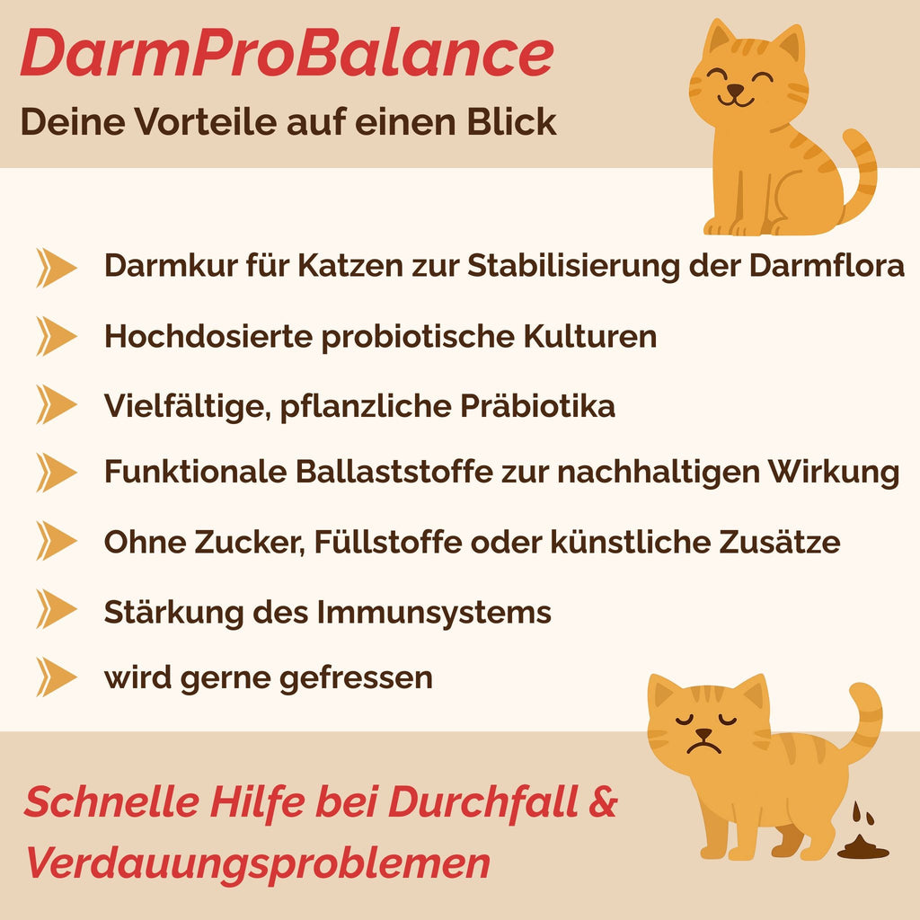 Darmpulver Katze - Durchfall und  Erbrechen Katze -Darmflora Katze aufbauen - TierVita