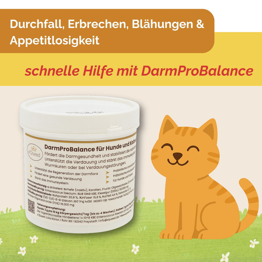 Darmpulver Katze - Durchfall und  Erbrechen Katze -Darmflora Katze aufbauen - TierVita
