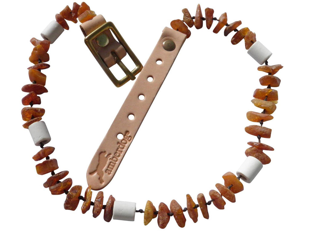 EM Keramik Pipes Flex Hunde Bernsteinkette - TierVita