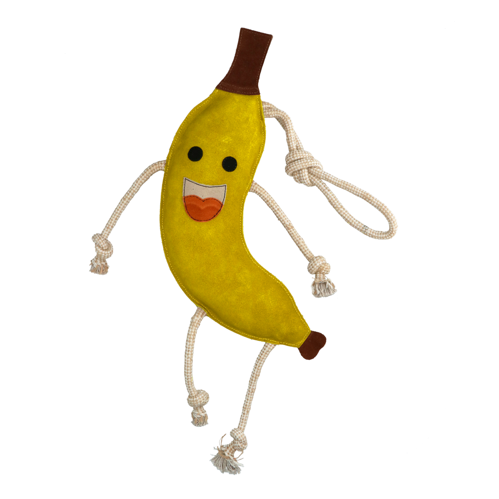 Excellent Horse Foodie Friends Banana