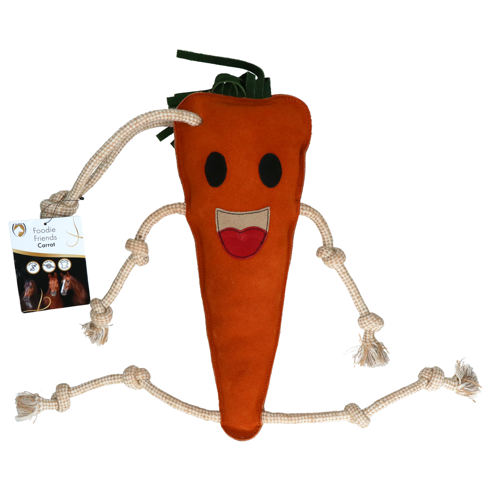 Excellent Horse Foodie Friends Carrot