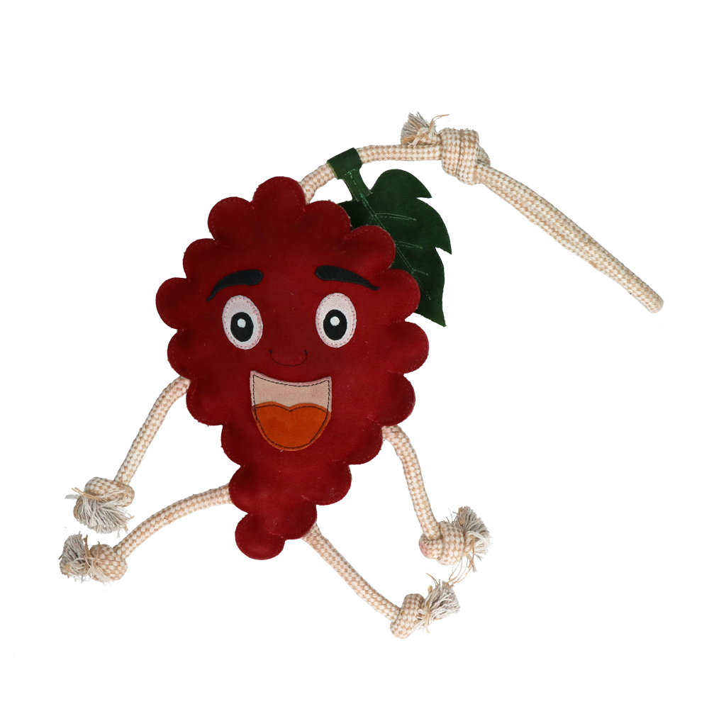 Excellent Horse Foodie Friends Raspberry