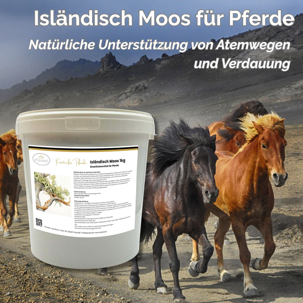 Isländisch Moos Pferd 1kg - TierVita