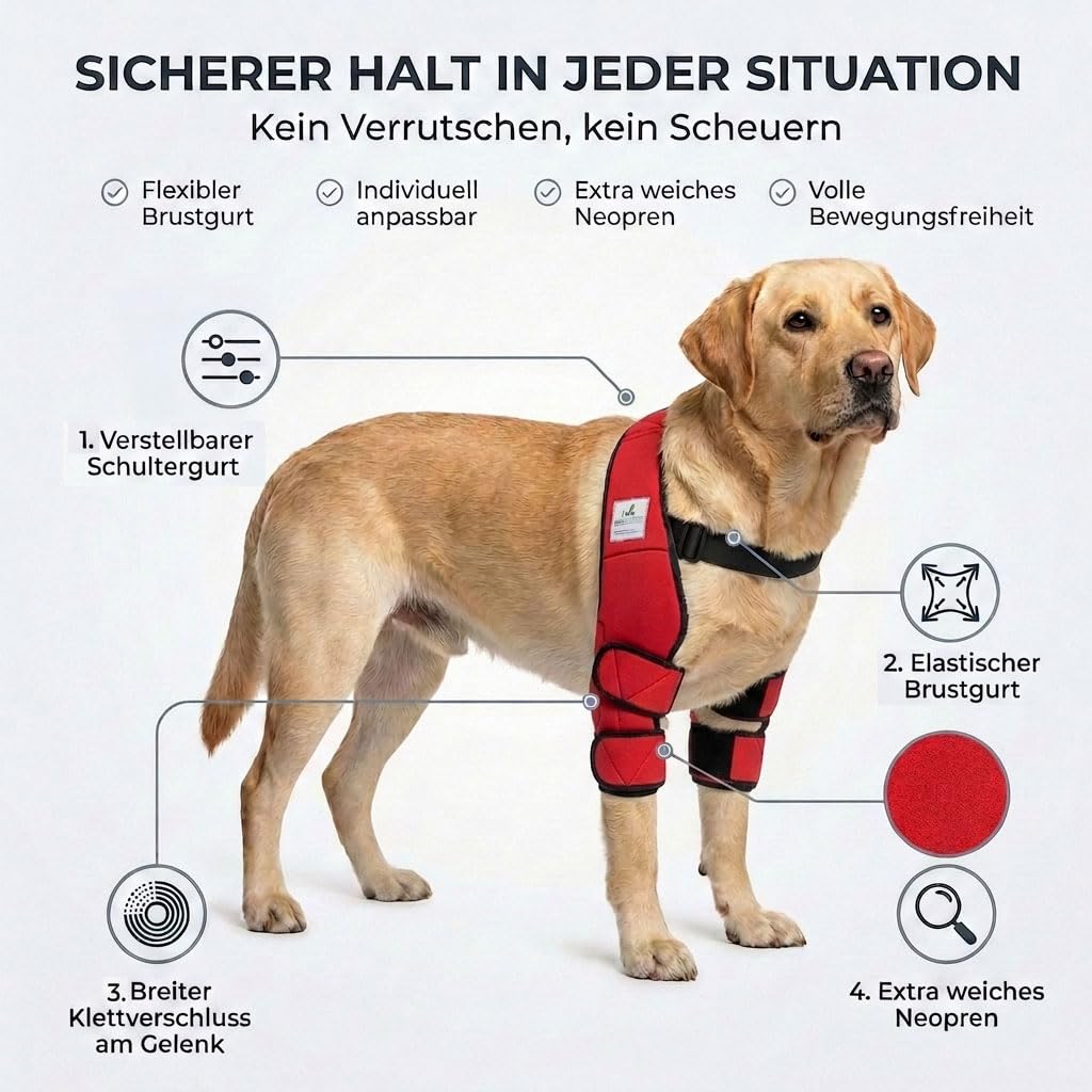 Liegeschwielen Bandage für Hunde