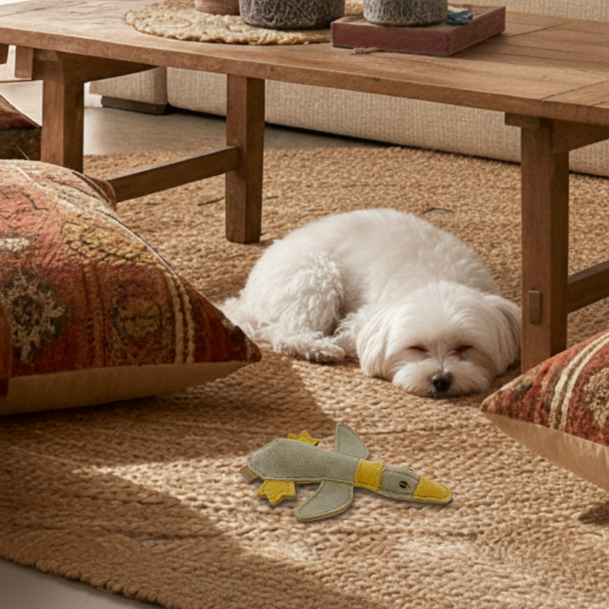 BUDDY. Hundespielzeug aus Leder "Kleine Ente" - TierVita