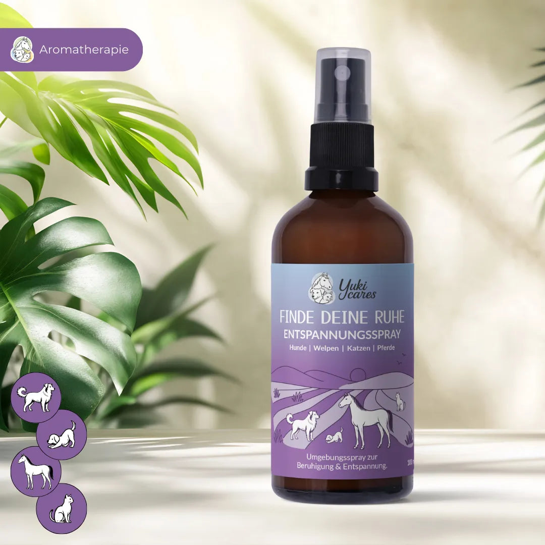 Entspannungsspray Cool down 100ml