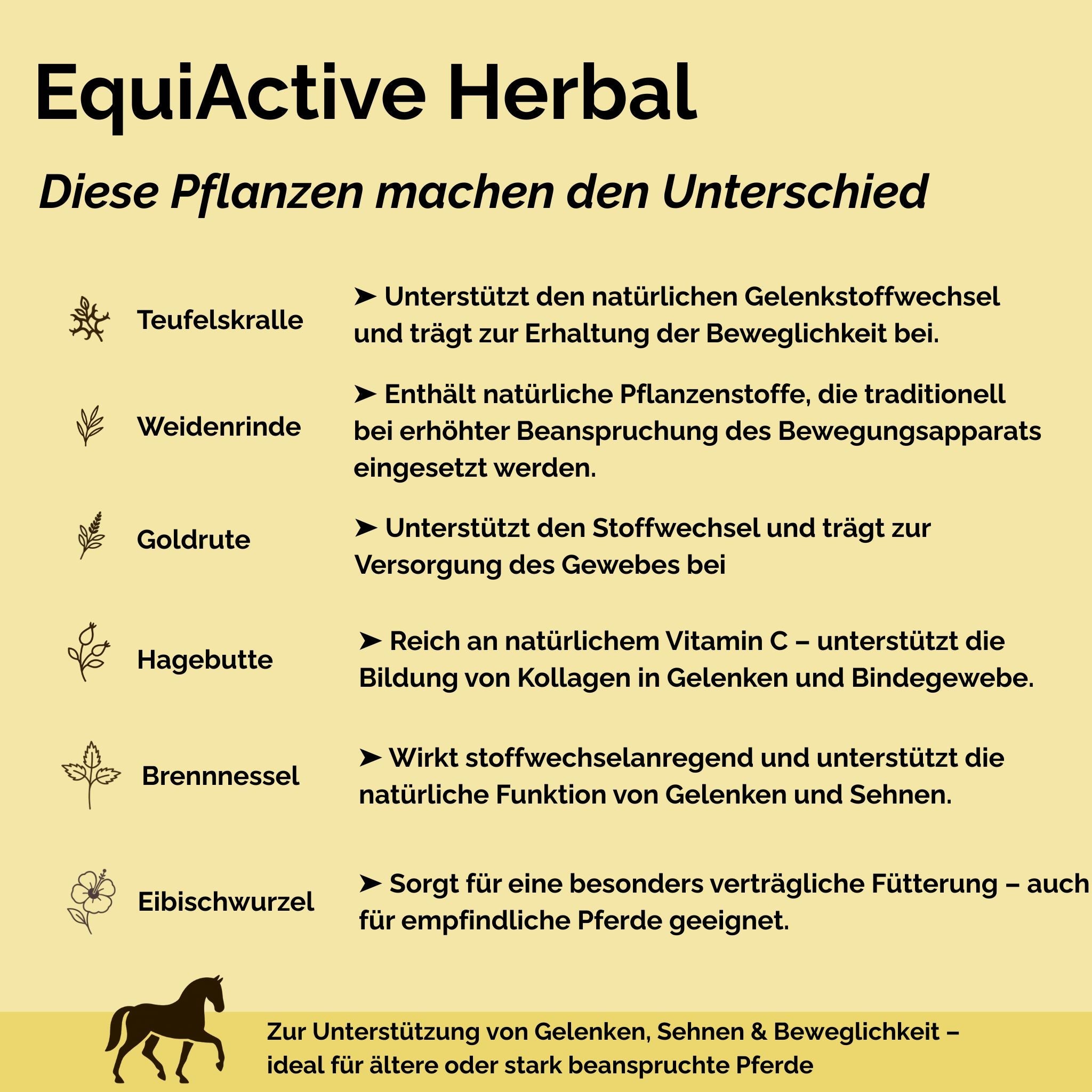 EquiActive Herbal 1kg – Kräutermischung zur Unterstützung von Beweglichkeit & Vitalität beim Pferd - TierVita