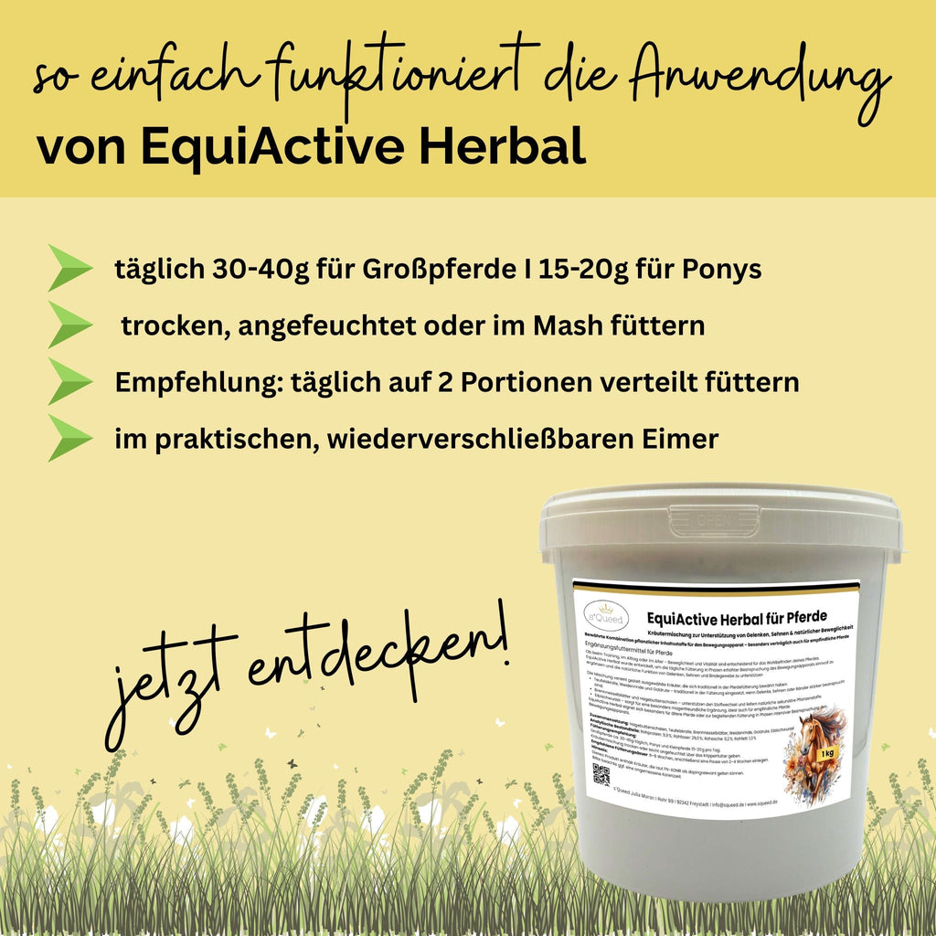 Kräutermischung EquiActive Herbal 1kg für Pferde – Beweglichkeit & Gelenke